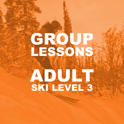 Ski Adult Group Lessons - Level 3