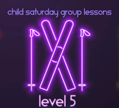 Child February Groups Lessons - Ski - Level 5