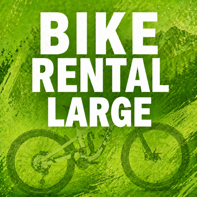 Bike Rental - Size Large