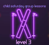 Child February Groups Lessons - Ski - Level 3